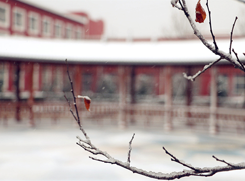 校園雪景